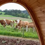 La Boheme And Glamping