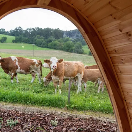La Boheme And Glamping